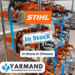 STIHL Chainsaw Dealer Ottawa In stock in Store